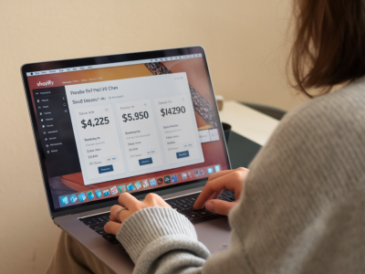 Welche kostenfallen lauern bei der einführung von shopify plus und wie vermeide ich sie